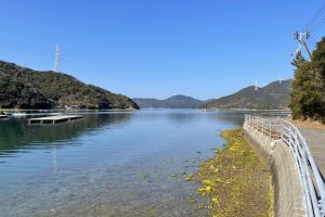 第5回キャリラジオ〜徳島徒然なるままに。時間はあれど何も出来ない、、、(後半)