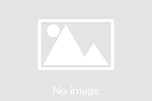 【過去から未来へ】キャリアチェンジサロン事務局通信vol.177